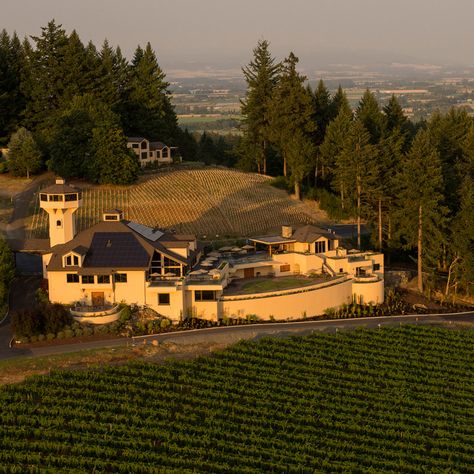 Best Oregon Wineries to Visit | Food & Wine Oregon Vineyards, Oregon Wineries, Town Aesthetic, Oregon Wine Country, Smith Wedding, Oregon Road Trip, Wine Vineyards, Italy Wine, Willamette Valley