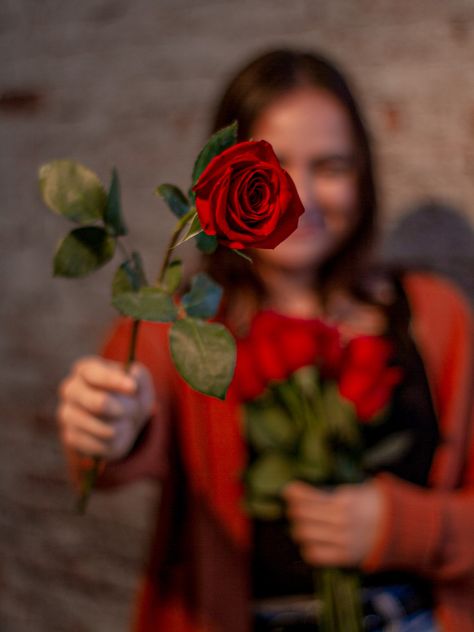 Red Flowers Photoshoot, Pose With Rose Photo Ideas, Poses With Roses Photo Ideas, February Photoshoot, Vday Photoshoot, Flower Photoshoot, Rosé Aesthetic, Rose Photo, Hearts And Roses