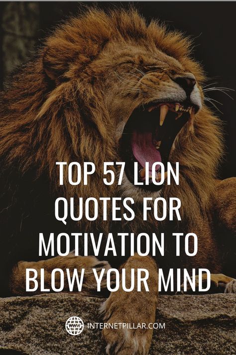 Quotes On Lion, Lion Quotes Wallpaper, Lion Strength Quotes, Quotes With Lion Images, Quotes About Lions Strength, Lion Pride Quotes, Lion Tattoo Quotes, Lions Quotes Strength, Lion Captions Instagram