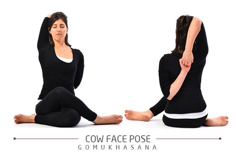 Cow Face Pose- Yoga Cow Face Pose, Face Pose, Stiff Shoulder, Flat Tummy Workout, Cow Face, Abs Challenge, Easy Yoga Poses, Get Toned, Basic Yoga