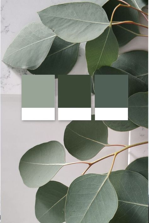 Crown Paint, Pantone Green, Green Logo Design, Green Branding, Pantone Palette, Muted Palette, Pantone Colour Palettes, Home Exterior Makeover, Green Inspiration