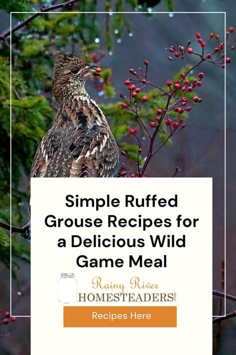 If you’ve ever been lucky enough to bring home a ruffed grouse after a hunt, you know what a treat it can be. The meat is lean, tender, and has a mild, slightly gamey flavor that makes it a fantastic choice for a wide range of recipes. Over the years, I’ve cooked grouse in a variety of ways, and I’ve found that keeping it simple often brings out the best flavors. Here are a few of my favorite recipes for ruffed grouse that anyone can make at home. Ruffed Grouse Recipe, Grouse Breast Recipe, Grouse Recipe, Grouse Recipes, Grouse Hunting, Rainy River, Ruffed Grouse, Game Meat, Meat Marinade