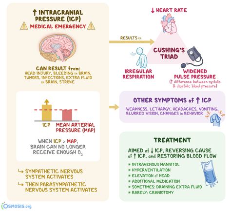 Intra Cranial Pressure, Cushing Triad Nursing, Increased Intracranial Pressure Nursing, Intracranial Regulation Nursing, Icp Nursing Notes, Increased Icp Nursing, Increased Intracranial Pressure, Cushings Triad, Intracranial Pressure Nursing