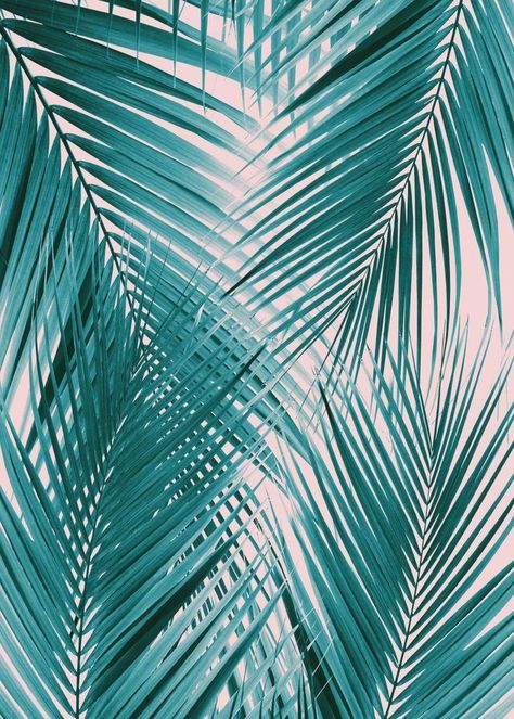 'Teal Blush Palm Leaves 1' Poster by Anita's & Bella's Art | Displate | Teal wallpaper iphone, Turquoise aesthetic, Teal wallpaper Teal Pallete, Turquoise Asthetics, Teal Wallpaper Backgrounds, Teal Blue Aesthetic, Teal Pictures, Teal Photography, Teal Wallpaper Iphone, Teal Aesthetic, Ios14 Aesthetic