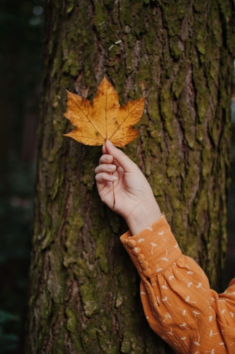 Autumn Flatlay, Fairy Oak, Autumn Tale, Colourful Leaves, Mustard Yellow Blouse, Autumn Instagram, White Dandelion, Blouse Details, Photoshop Design Ideas