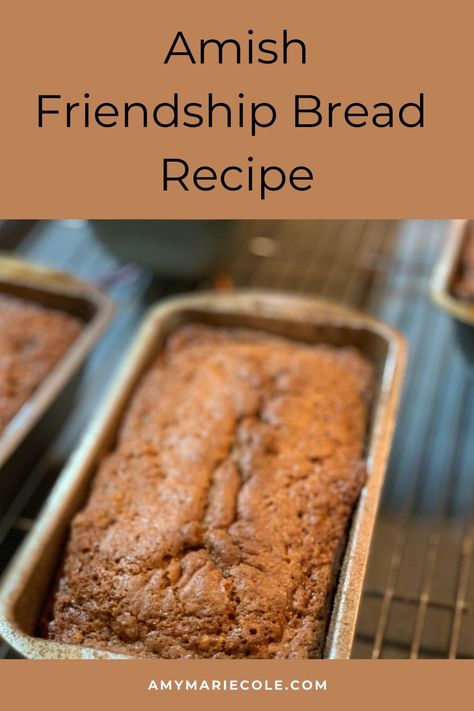 Amish Friendship Bread Recipe - Amy Marie Amish Starter, Bread Starters, Amish Bread Recipes, Amish Friendship Bread Starter Recipes, Friendship Cake, Friendship Bread Recipe, Friendship Bread Starter, Amish Bread, Amish Friendship Bread