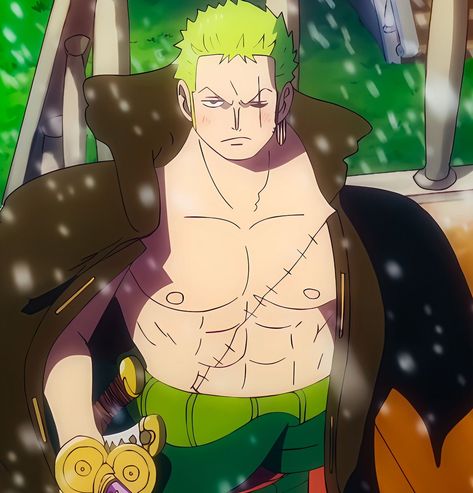 رورونوا زورو, One Piece Gif, One Piece Wallpaper Iphone, One Piece Funny, One Peice Anime, Zoro One Piece, One Piece Drawing, One Piece Images, One Piece Pictures