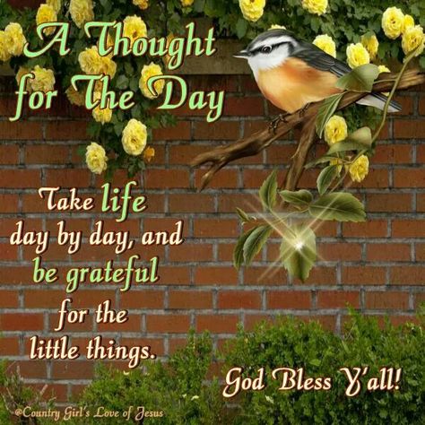 Take life day by day, and be grateful for the little things. Though For The Day, Husband Love Quotes, Sunday Messages, A Thought For The Day, Inspiration For The Day, Thoughts For The Day, Thoughts Of The Day, Life Day, Weekday Quotes