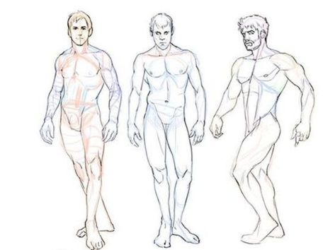 Male Body Drawing, Male Art Reference, Male Anatomy, Human Body Drawing, Comic Book Drawing, Body Sketches, Human Anatomy Drawing, Hand Drawing Reference, Human Anatomy Art