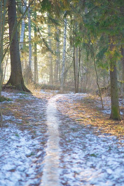 A path of melting snow Winter Spring Aesthetic, Late Winter Aesthetic, Winter To Spring, Late Winter Early Spring Aesthetic, Melting Snow, Winter Melting Into Spring, Winter Meadow, March Aesthetic, Early Spring Aesthetic