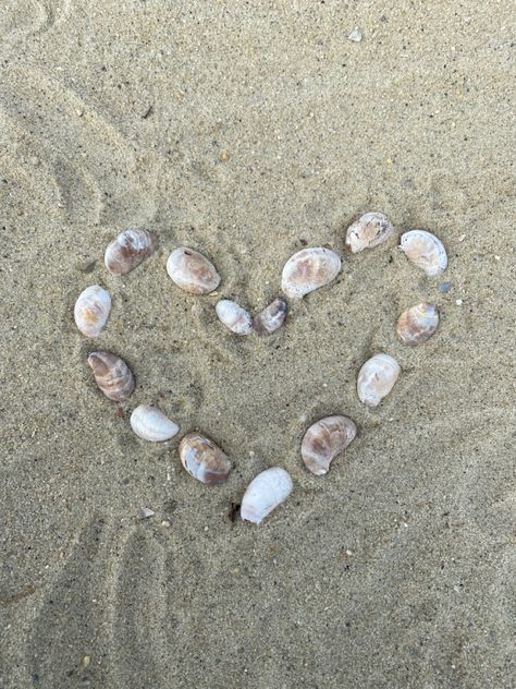 Beach Heart Pictures, Beach Love Aesthetic, Beach Shells Aesthetic, Natural Odor Absorber, Odor Absorber, Beach Heart, Summer Board, Shell Heart, Summer Stuff