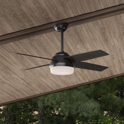 Propeller Ceiling Fan, Covered Porches, Hunter Ceiling Fans, Contemporary Fan, Black Hunter, Room Fan, Remote Control Light, Hunter Fan, Ceiling Fan With Remote