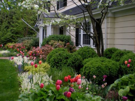 When choosing plants aim for 50% evergreens, 25% deciduous or flowering shrubs, and 25% perennials. Site needs may vary, but as a general rule, this formula will help create a foundation planting that looks good year round.  Plan for at least one foot of space between your largest plant and the house’s exterior wall to allow room for maintenance. This helps to push the plantings out from the house which looks better, and can help avoid damage to the exterior.  As a general rule plan for a 6′ to Cottage Patio, Shade Landscaping, Small Front Yard, Yard Landscape, Front Yard Design, Foundation Planting, House Landscaping, Front Landscaping, Front House