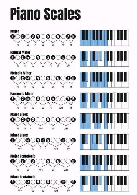 Scales Piano, Learn To Read Music, Learn Piano Fast, Music Basics, Piano Songs Sheet Music, Piano For Beginners, Music Theory Piano, Beginner Piano Music, Piano Scales