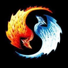 Fire Drangon, Tattoo Ideas, Ice Art, Fire And Ice Dragon, Fireic Dragon, Ice Yin, Ying Yang, Dragon Yin, Yin Yang Ice Tattoo, Fire And Ice Dragons, Dna Artwork, Phoenix Dragon, Ying Yang Tattoo, Yin Yang Art, Yin Yang Tattoos, Ice Dragon, Cool Dragons