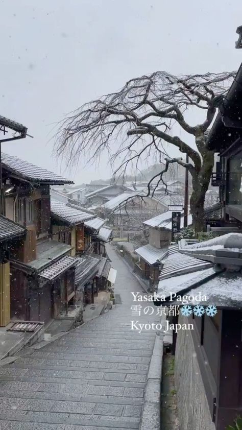 japanoninsta on Instagram: A snowy day in Kyoto ❄️⁣ ⁣ 📸 @lotus.m.lotus⁣ ⁣ #japan #kyoto #kyotojapan #winter #travelling #japanese #japon #traveltheworld #snow… Kyoto Japan Winter, Japanese Hotels, Snowy Japan, Japan Winter Travel, Japan In December, Kyoto Winter, Snow In Japan, Minecraft Island, Japan In Winter