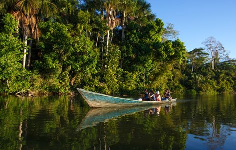 Episode 62: Las mamás del río Amazonas (Mothers of the Amazon River) - Duolingo Duolingo Spanish, Peru Vacation, Eco Lodges, South America Destinations, Adventure Tourism, Amazon River, Peru Travel, Amazon Rainforest, Adventure Tours