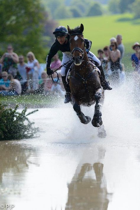 Eventing Cross Country, Cross Country Jumps, Horse Trials, Equestrian Problems, Eventing Horses, Horse Quotes, Equestrian Sports, Sport Horse, Horse Equestrian