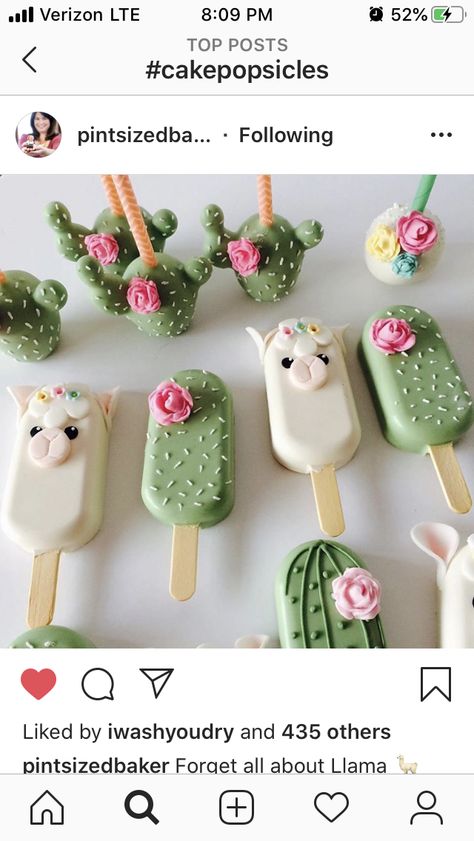 Popsicles Cake, Cake Pop Designs, Cake Pop Decorating, Chocolate Covered Treats, Baking Business, Covered Strawberries, Cute Desserts, Chocolate Treats, Chocolate Covered Strawberries