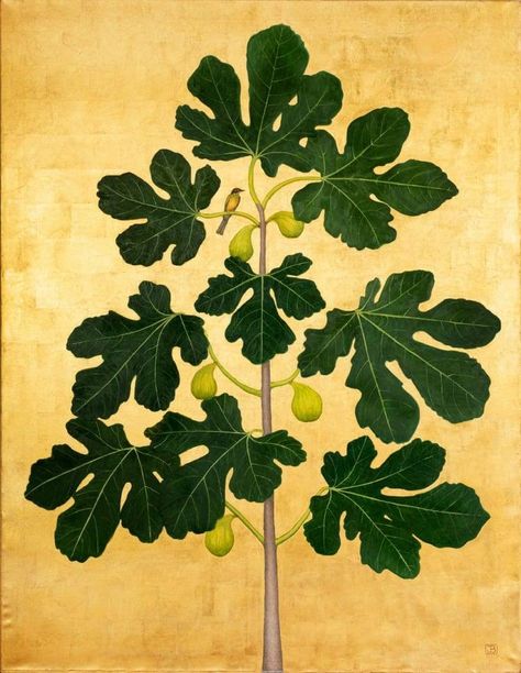 Fig bird in the fig tree  -   Jethro Buck , 2022. British, b. 1986  - Oil and 23 carat gold leaf on canvas,  60 x 46 in.   ... Telescope Drawing, John Lavery, Gold Leaf On Canvas, The Fig Tree, Fig Leaf, Tree Mural, Tree Tattoo Designs, Leaf Drawing, Fig Leaves