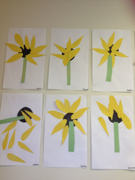 Sunflowers Sunflower Daycare Theme, Sunflower Infant Craft, Sunflower Craft Kindergarten, Sunflowers Activities For Preschool, Sunflower Lesson Plans, Sunflower Lesson Plan Preschool, Sunflower Toddler Activities, Sunflower Theme Preschool, Sunflower Theme For Preschool