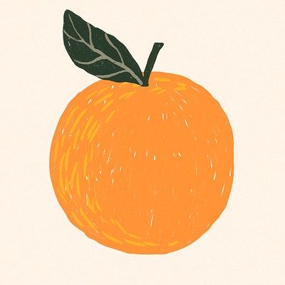 Fruit orange doodle drawing vector | Free Vector Illustration - rawpixel Orange Simple Drawing, Orange Illustration Art, Simple Orange Drawing, Drawing Of An Orange, Orange Illustration Fruit, Orange Aesthetic Drawing, Orange Drawing Simple, Cute Orange Drawing, Orange Fruit Drawing