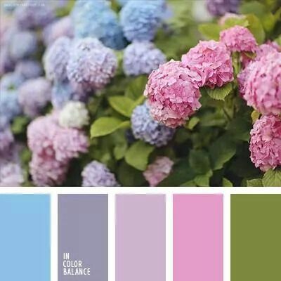 Love Flat Bedroom, In Color Balance, Color Palette Ideas, Hydrangea Colors, Palette Ideas, Color Chip, Pastel Palette, Design Seeds, Color Balance