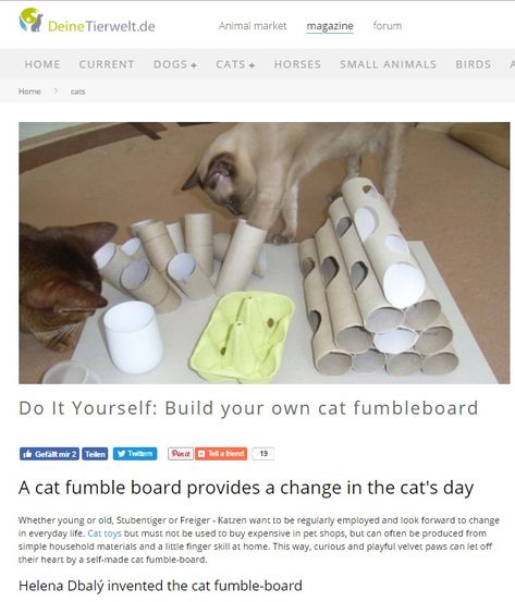 This is a fantastic webpage inspired by Helena Dbalý’s wonderful book, Playtime for Cats. The page is in German, but I used Google Translate to get the gist of the ideas! First idea: DIY multi-puzzle foraging boards, incorporating toilet paper rolls, egg cartons, bowls, and cups to inspire foraging behavior in your cat. Once you get the … Flea Shampoo For Cats, Food Puzzle, Diy Cat Food, Puzzle Food, Toxic Plants For Cats, Hypoallergenic Dog Breed, Pet Diy, Teacup Cats, Diy Cat Toys