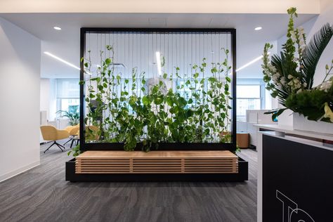 Living Wall Divider, Office Plants Ideas, Office Divider, Office Divider Ideas, Modern Partition Walls, Office Dividers, Flush Door Design, Hospital Interior Design, Kids Interior Room