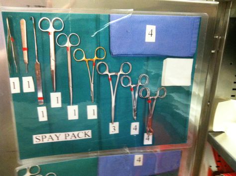 Veterinary Surgery Organization, Vet Med Organization, Vet Hospital Organization, Vet Clinic Organization, Veterinary Organization, Veterinary Storage, Vet Office Ideas, Veterinary Clinic Ideas, Vet Clinic Ideas