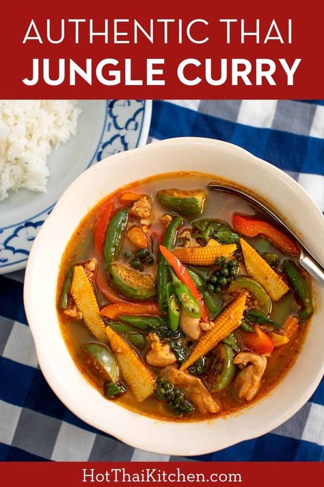 Thai Jungle Curry with Chicken Hot Thai Kitchen, Jungle Curry, Panang Curry Recipe, Thai Kitchen, Red Curry Paste, Thai Dishes, Curry Chicken Recipes, Curry Paste, Super Healthy