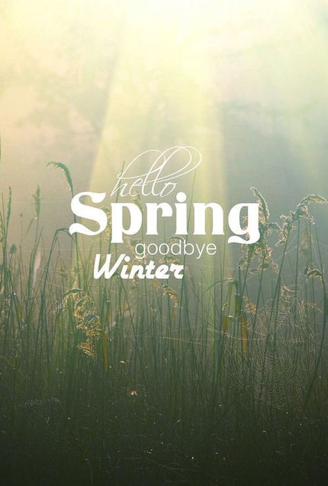 Hello Spring Goodbye Winter quotes spring quote winter spring quotes hello spring goodbye winter hello spring quotes Hello Spring Quotes, Goodbye Winter Hello Spring, Quotes Spring, Spring Quote, Goodbye Winter, Hello April, Cold Time, Spring Quotes, Winter Quotes