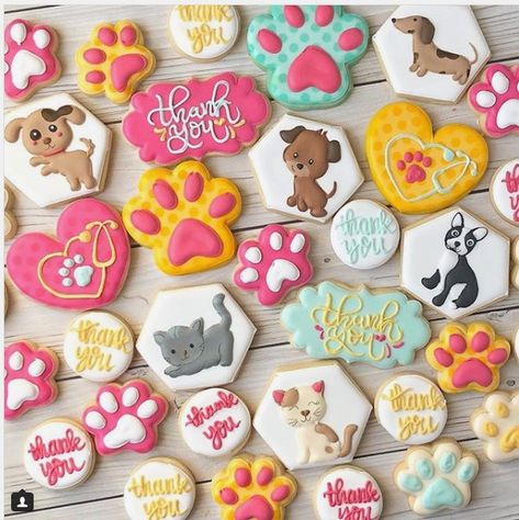 Morgan Romo on Instagram: “LOVED this set so much!! Thank you cookies for a veterinary office! . . . . . #animalcookies #sugarcookies #decoratedcookies #customcookies…” Cookies For Veterinarian, Pet Cookies Decorated, Vet Thank You Cookies, Dog Themed Cookies Royal Icing, Dog Bone Decorated Cookies, Paw Cookies, Thank You Cookies, Cookies Decoradas, Cat Cookies