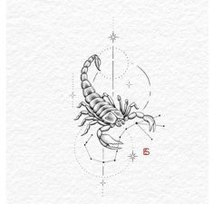 Sleeve Tattoos Floral, Tattoo Design Minimal, Capricorn Illustration, Scorpio Zodiac Tattoos, Illustration Geometric, Horoscope Tattoos, Scorpio Tattoo, Scorpion Tattoo, Procreate Drawing