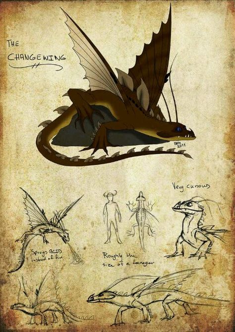 The Changewing [ HtTYD ] Dragon Profile Httyd Dragons Species List, Dragon Profile, Dragon Book, Httyd Art, Images Disney, Dragon Sketch, Httyd Dragons, Cool Dragons, Dragon Party