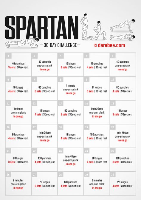 Spartan Workout For Women, Spartan Method, 30 Day Calisthenics Challenge, 28 Day Calisthenics Challenge, Spartan Training Plan, Spartan Race Training Workouts, Spartan Challenge, Calisthenics Workout Routine, 300 Spartans