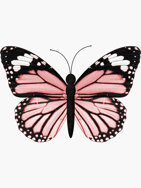 Unique Light Pink Butterfly Stickers designed and sold by artists. Decorate your laptops, water bot... Light Pink Butterfly Wallpaper, Pink Buterfluffy, Butterfly Pictures Art, Butterfly For Print, Pink Butterfly Drawing, Pink Drawing Ideas, Cute Butterfly Drawing, Pink Butterfly Sticker, Pink Black Butterfly