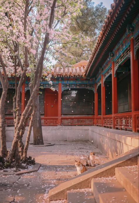 Ancient Chinese Palace, Forbidden Palace, Flying City, Chinese Buildings, Chinese Palace, Ancient Houses, Asian Architecture, Architecture Wallpaper, Traditional Houses