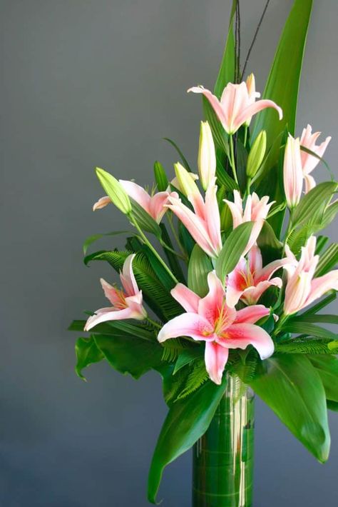 15 Awesome Lily Flower Arrangements Lily Flower Arrangements, White Calla Lily, Trumpet Lily, Calla Lily Bouquet, Large Flower Arrangements, Lily Bouquet, Easter Lily, Rose Arrangements, Moon Garden