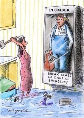 Emergency Plumbing Plumbing Memes, Funny Cartoons Pictures, Marriage Cartoon, Cartoons Pictures, Plumbing Humor, Plumber Humor, Funny Cartoon Pictures, Plumbing Emergency, Plumbing Problems