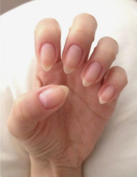 Almond Nails Natural, Natural Stiletto Nails, Manicures Ideas, Natural Nail Shapes, Stars Nails, Oval Shaped Nails, Long Natural Nails, Acrylic Nail Shapes, Nagellack Trends