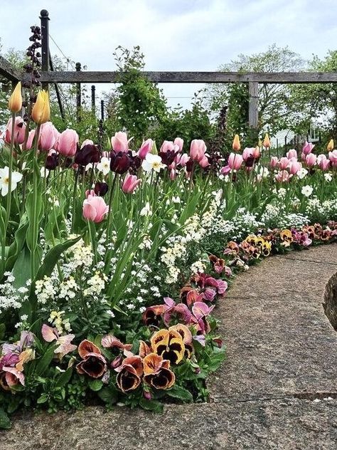 Garden Tulips Ideas, Tulips In Garden Bed, Tulip Bed Ideas, Tulip Beds Front Yards, Tulip Garden Ideas Front Yards, Tulip Bed, Tulip Garden, Front Garden Landscape, Balcony Plants