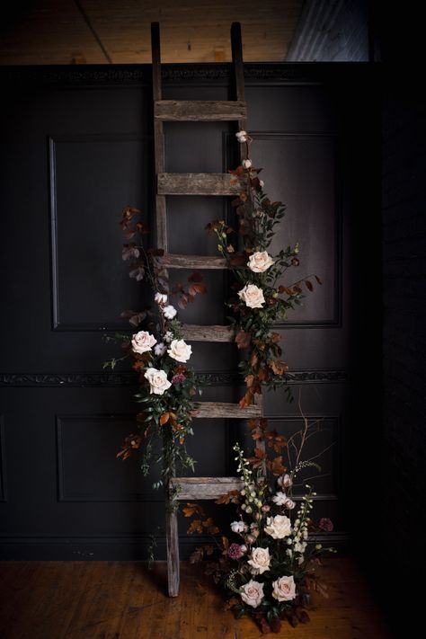 Ladder Floral Installation, Photoshoot Wall, Cabin Studio, Photography Studio Decor, Lavender Cupcakes, Floral Arch Wedding, Traditional Wedding Decor, Christmas Mini Sessions, Hello Pretty