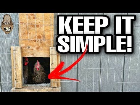 (1) CHEAP And EASY DIY Sliding Chicken Door! - YouTube Chicken Coop Sliding Door Diy, Sliding Chicken Coop Door, Diy Door For Chicken Coop, Chicken Door Diy, Diy Chicken Door, Chicken Door Ideas, Chicken Coop Door Diy, Chicken Coop Door Ideas, Chicken Doors