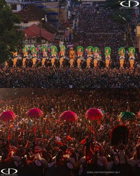 Thrissur Pooram, Dolores Park, Elephant, Canvas, Travel