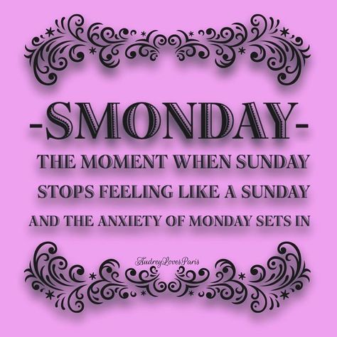 Tomorrow Is Monday Humor, Sunday Night Quotes, Sunday Humor, Sunday Quotes Funny, Tomorrow Is Monday, Weekday Quotes, Monday Humor, Monday Quotes, Sunday Quotes