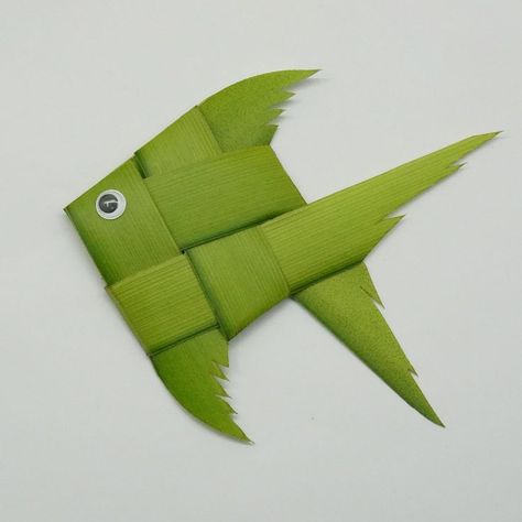 Beautiful DIY Fish making with coconut leaf at home. Handmade crafts for school. Coconut Leaves Craft, Coconut Leaf Craft, Crafts For School, Diy Crafts For School, Coconut Leaves, School Craft, Fish Crafts, Hand Crafts For Kids, Hand Crafts