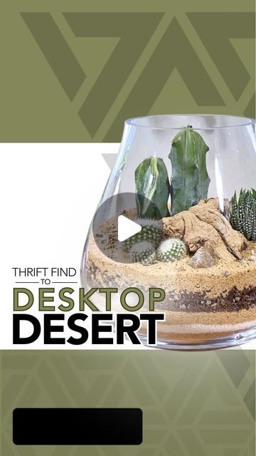 JOHNATHON Q SWANSON on Instagram: "Here is the process of me turning this colorful glass I thrifted into a desktop desert terrarium 🌵   #terrarium #terrariumdesign #terrariumlove #terrariumdreams #moss #howto #diy #fyp #terrariumsofinstagram #portland #cactus #succulents #beaverton #pdx #plantshop #local #smallbusiness #plantsplantsplants #plants #plantsmakepeoplehappy #plantsofinstagram" Desert Terrarium Ideas, Cactus Terrarium Ideas, Desert Terrarium, Succulent Ideas, Cactus Terrarium, Cactus Diy, Cactus Succulents, Succulent Terrarium, The Process