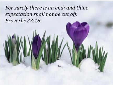 Proverbs 23:18 KJV Library Artwork, First Flowers Of Spring, Snow Flower, Crocus Flower, Blossom Garden, Spring Equinox, Spring Sign, Hello Spring, Art Quilts