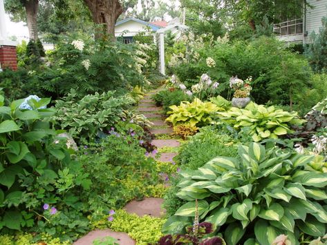 Gardening Therapy, Gardening Style, Spring Flowering Trees, Small Water Gardens, Hydrangea Petiolaris, Spilt Milk, Fine Gardening Magazine, Shade Gardening, Privacy Plants